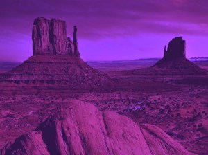 Purple Landscape