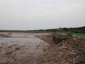 Low Tide in the Bay of Fundy, Wolfville. The tide rises & falls 16 feet every 12 hours.