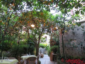 Dinner in Sorrento (lemon trees everywhere)